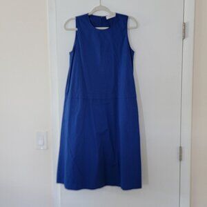 Blue Everlane Dress
